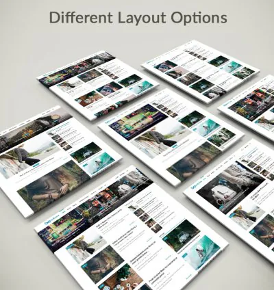 Infinite - نص المدونة والمجلة